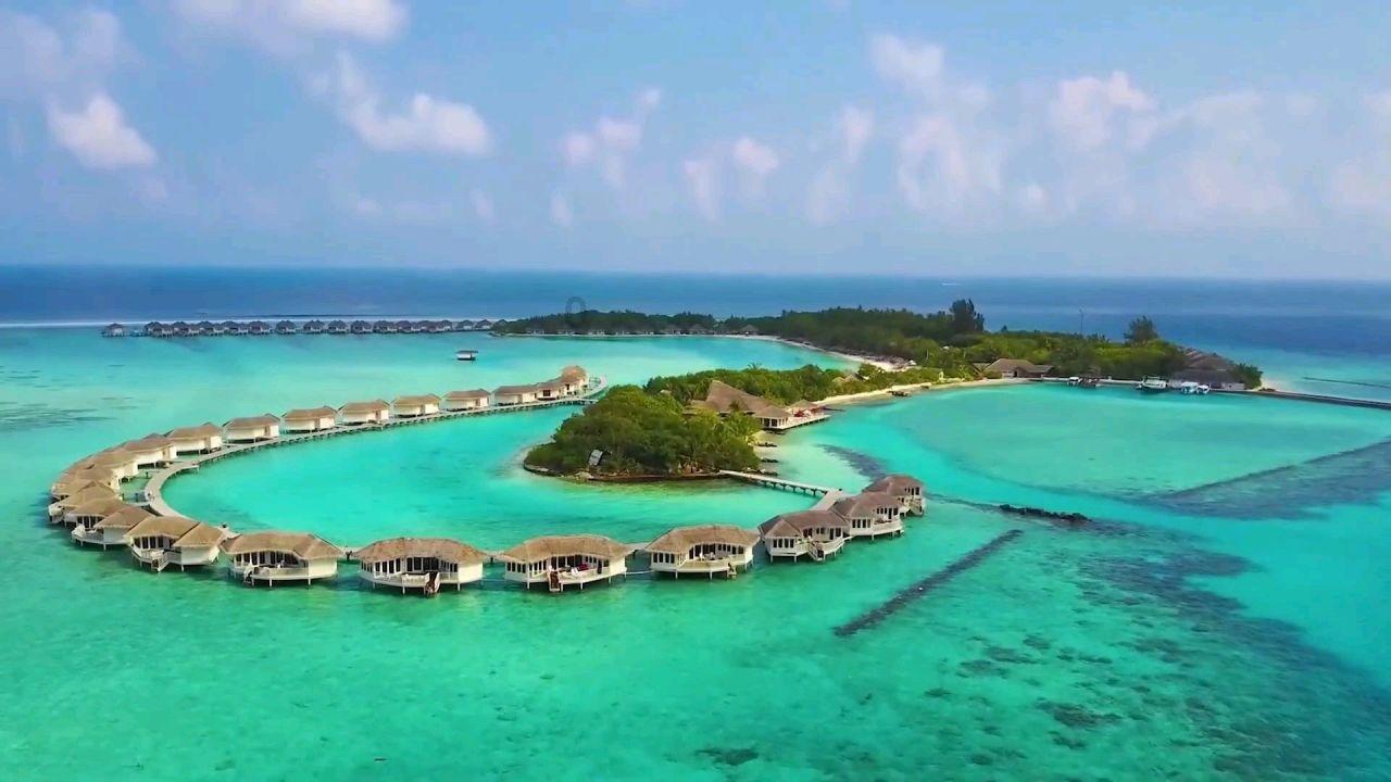 老字号如何借力“繁花热”焕新？